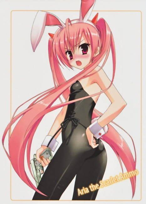 Bunny Girl's secondary erotic images summary 14