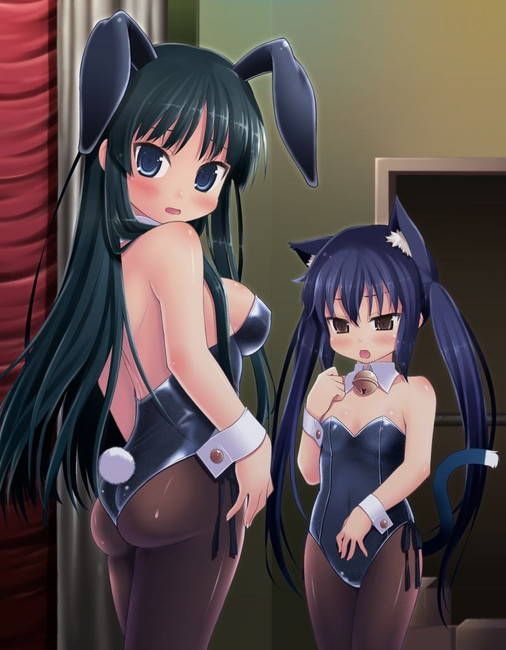 Bunny Girl's secondary erotic images summary 17