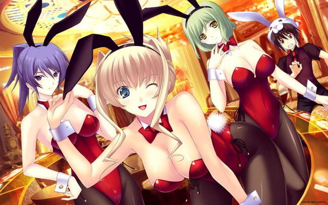 Bunny Girl's secondary erotic images summary 2