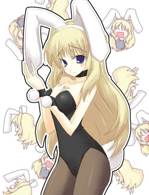 Bunny Girl's secondary erotic images summary 37