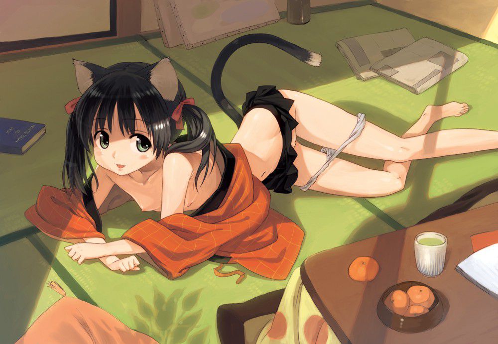 [Cat ears erotic image] in ranobe, the cat ear Girl of the quasi-heroine frame, and destructive power preeminent and try to undress. (30 Photos) 22