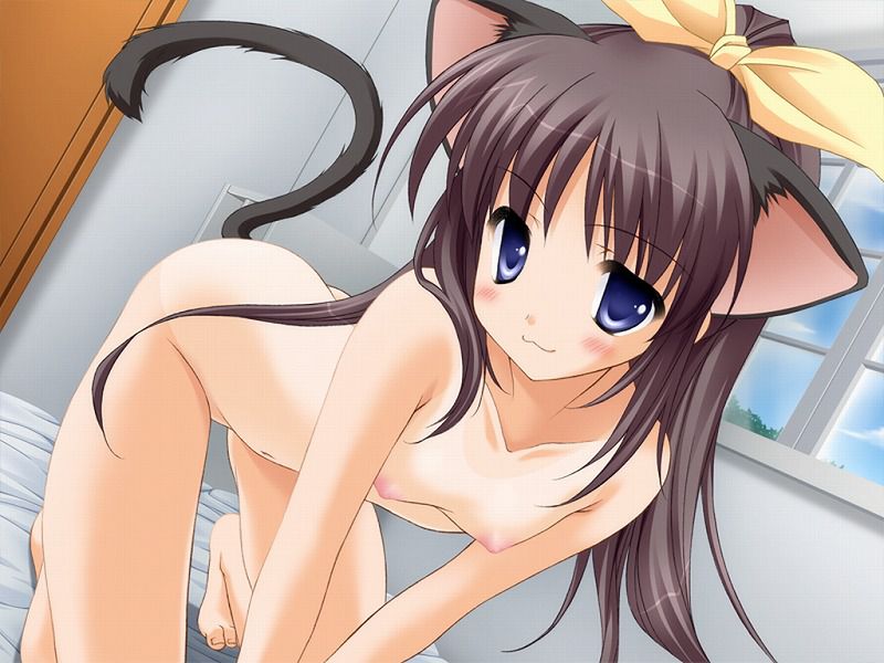[Cat ears erotic image] in ranobe, the cat ear Girl of the quasi-heroine frame, and destructive power preeminent and try to undress. (30 Photos) 8