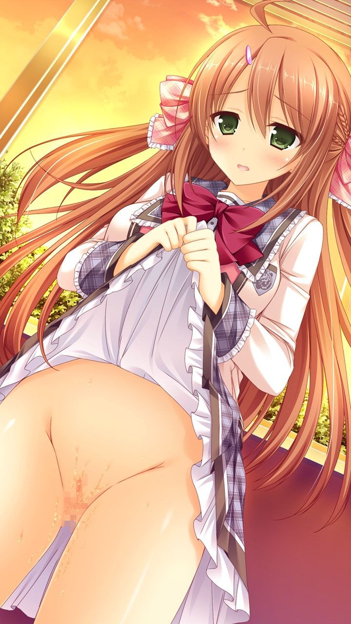 It is the best if I put up the skirt and blush of a girl who has become lewd!! 12