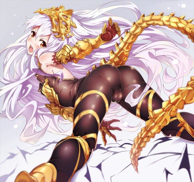 Please picture too erotic of Gran Blue fantasy! 12