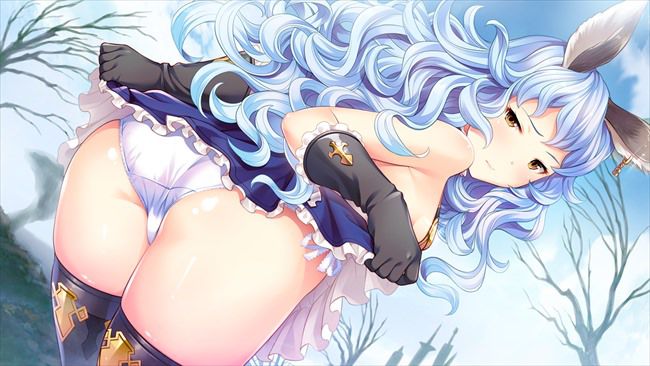 Please picture too erotic of Gran Blue fantasy! 15