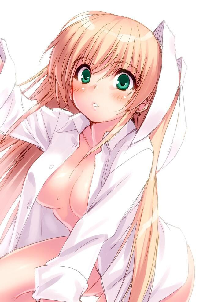 [2nd] Secondary image of the girl of the naked shirt figure erotic than naked [naked y-shirt] 14 8