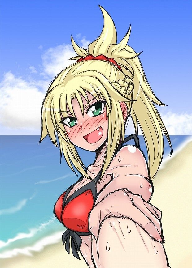 [Fate/APO Chestnut 31 pieces] Mode Red swimsuit Image Summary 16