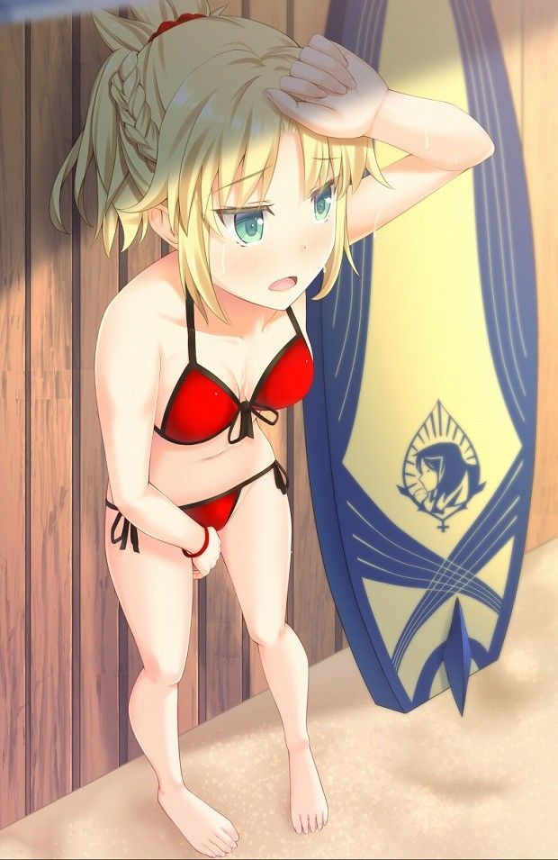 [Fate/APO Chestnut 31 pieces] Mode Red swimsuit Image Summary 20