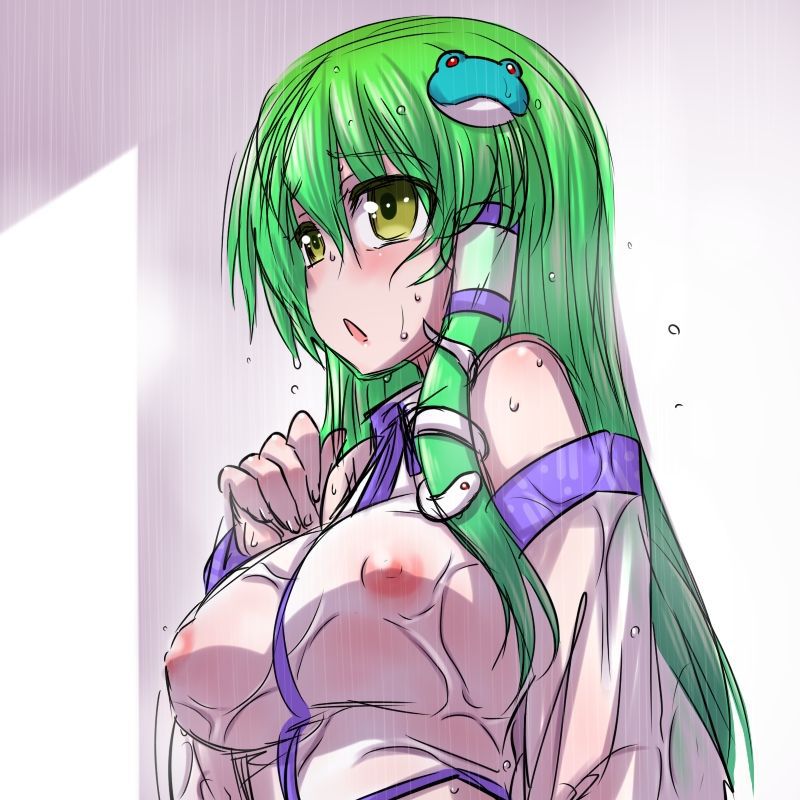 Touhou Erotic Pictures 105 50 pictures 30