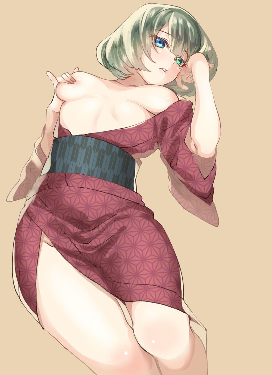 Two-dimensional erotic images of kimono and yukata. 19