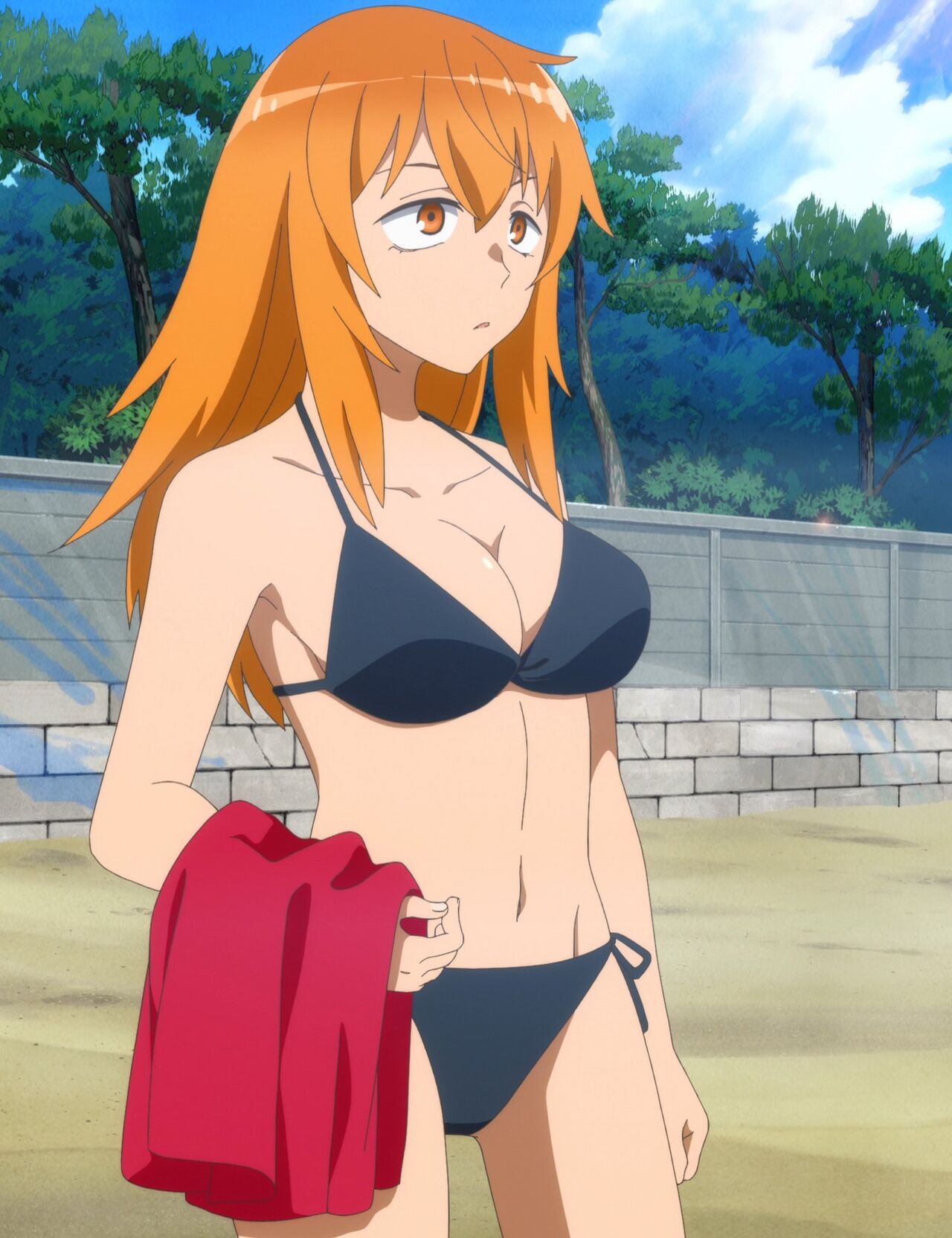Anime girls in bikinis 88