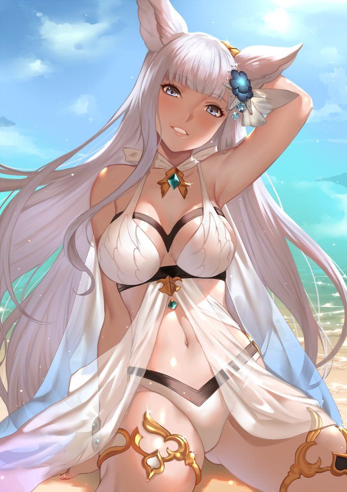 [2 Next] The second erotic image of the girl coming out in the grand Blue Fantasy 15 [grab le] 2