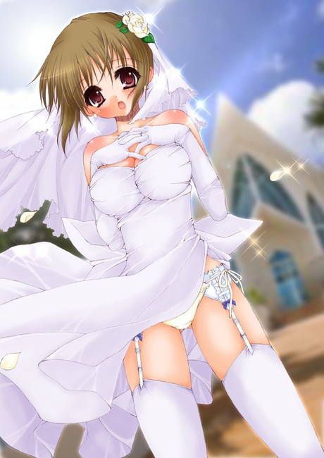 [49 Sheets bride] Two-dimensional erotic image of wedding dress boring! part22 37