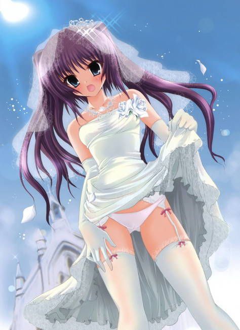 Erotic &amp; Moe Image summary of the wedding dress! 20