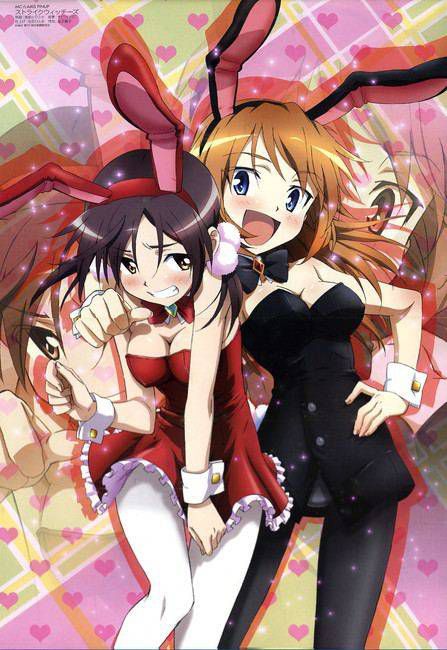 Bunny Girl Erotic Pictures summary! 12