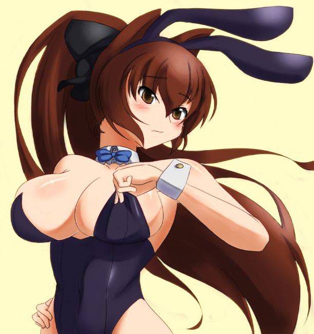 Bunny Girl Erotic Pictures summary! 15