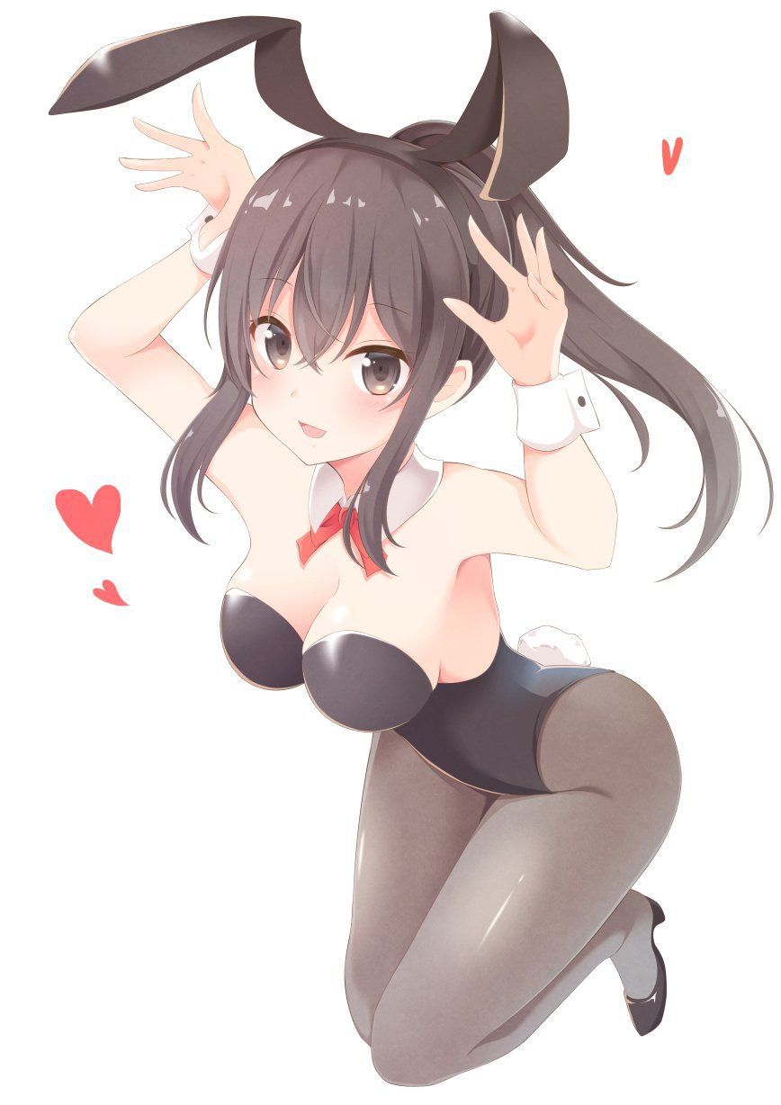 Bunny Girl Erotic Pictures summary! 21