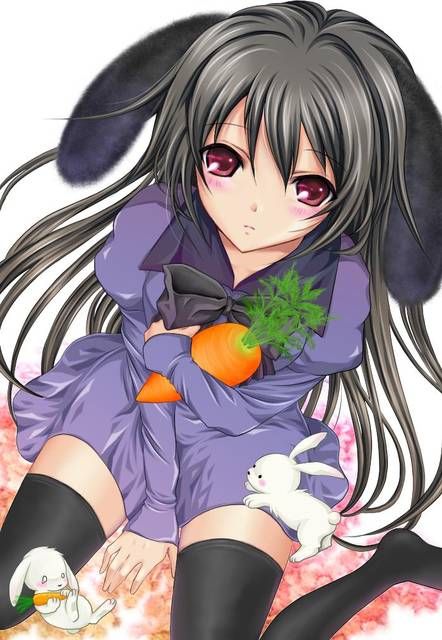 [59 sheets] Two-dimensional Erofeci image collection of the Girl rabbit ears. 9 [Rabbit] 1