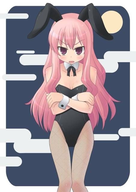 [59 sheets] Two-dimensional Erofeci image collection of the Girl rabbit ears. 9 [Rabbit] 10