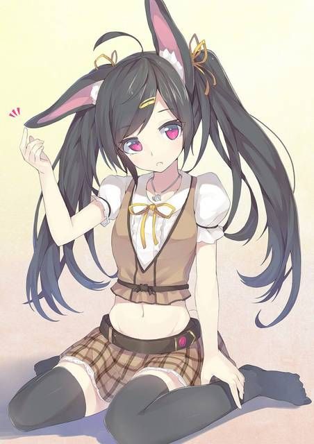 [59 sheets] Two-dimensional Erofeci image collection of the Girl rabbit ears. 9 [Rabbit] 12