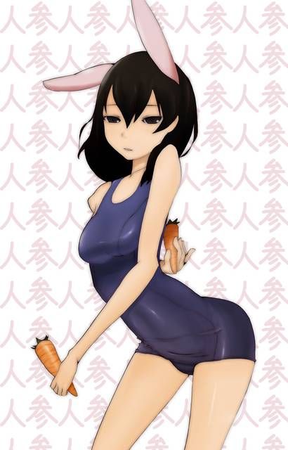 [59 sheets] Two-dimensional Erofeci image collection of the Girl rabbit ears. 9 [Rabbit] 23