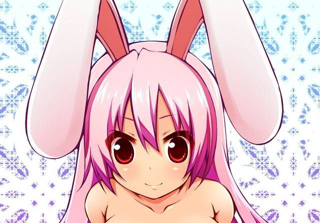 [59 sheets] Two-dimensional Erofeci image collection of the Girl rabbit ears. 9 [Rabbit] 31