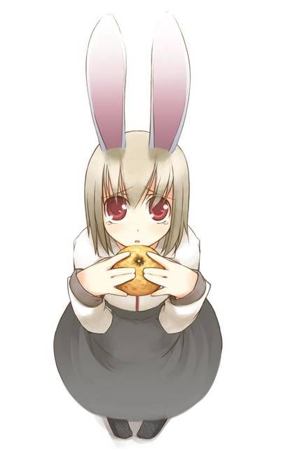 [59 sheets] Two-dimensional Erofeci image collection of the Girl rabbit ears. 9 [Rabbit] 42