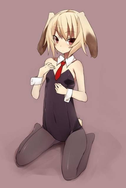 [59 sheets] Two-dimensional Erofeci image collection of the Girl rabbit ears. 9 [Rabbit] 51