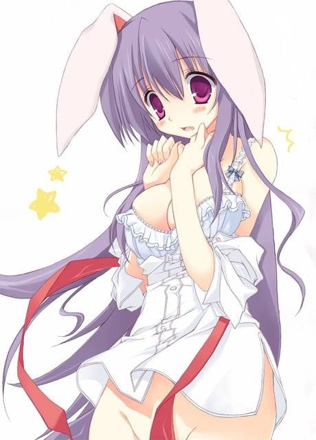 [59 sheets] Two-dimensional Erofeci image collection of the Girl rabbit ears. 9 [Rabbit] 53
