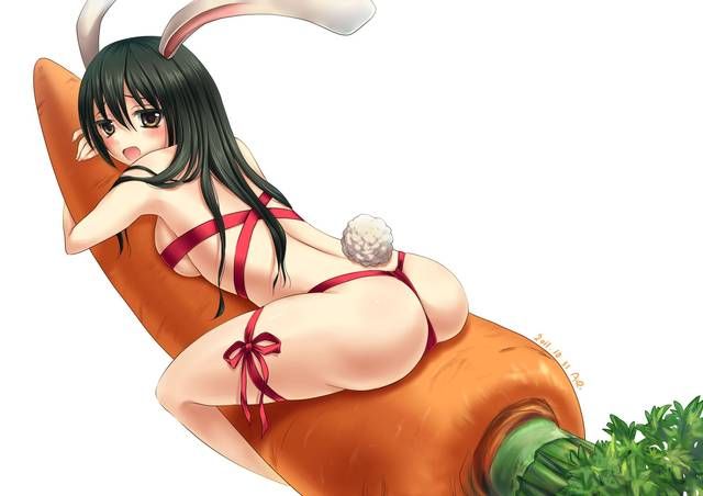 [59 sheets] Two-dimensional Erofeci image collection of the Girl rabbit ears. 9 [Rabbit] 57