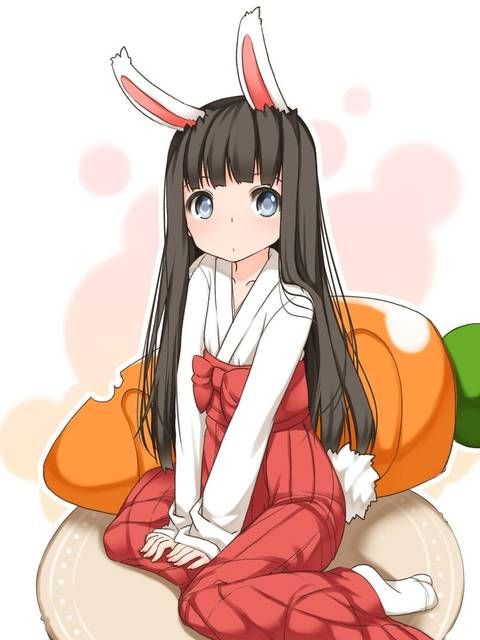 [59 sheets] Two-dimensional Erofeci image collection of the Girl rabbit ears. 9 [Rabbit] 6