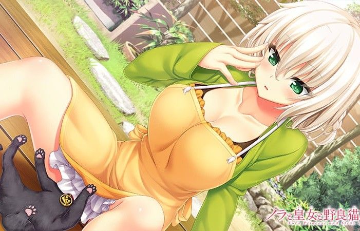 PSVita Edition [Nora and Princess and Stray Cats Heart] this erotic swimsuit and other illustrations of the woman in the store benefits 1