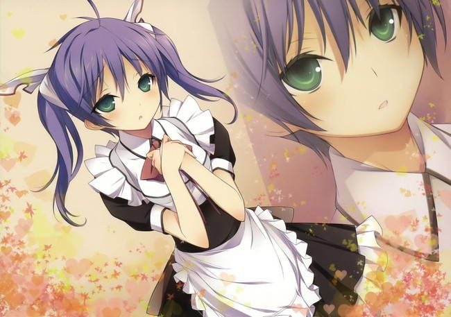 [50 pieces of maid clothes] cute maid erotic image Gris! part21 11