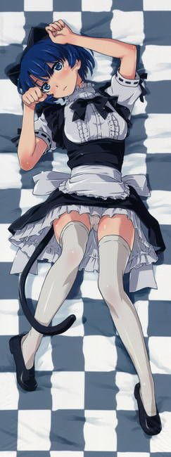 [50 pieces of maid clothes] cute maid erotic image Gris! part21 18