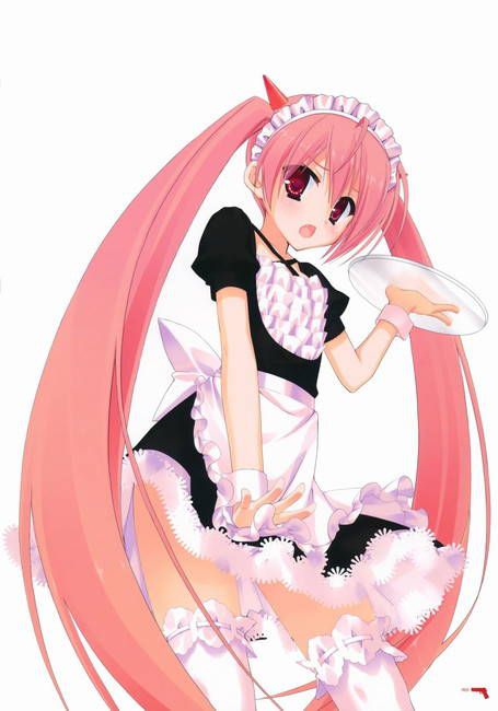 [50 pieces of maid clothes] cute maid erotic image Gris! part21 19