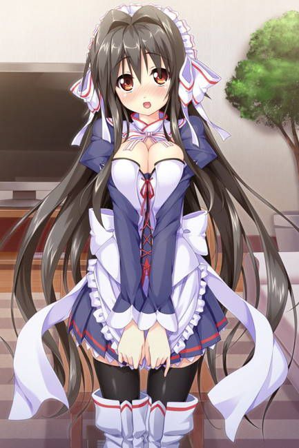[50 pieces of maid clothes] cute maid erotic image Gris! part21 31