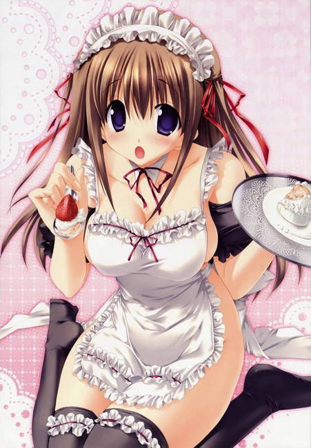 [50 pieces of maid clothes] cute maid erotic image Gris! part21 41