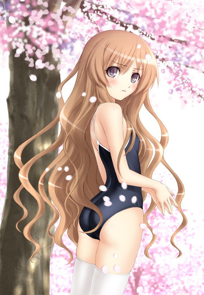 Even if it is not summer, it is erotic moe that beautiful girl of the swimsuit. 10