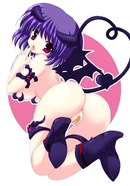 [53 pieces] A collection of second eroticism images of naughty woman devil, サキュバス. 15 18