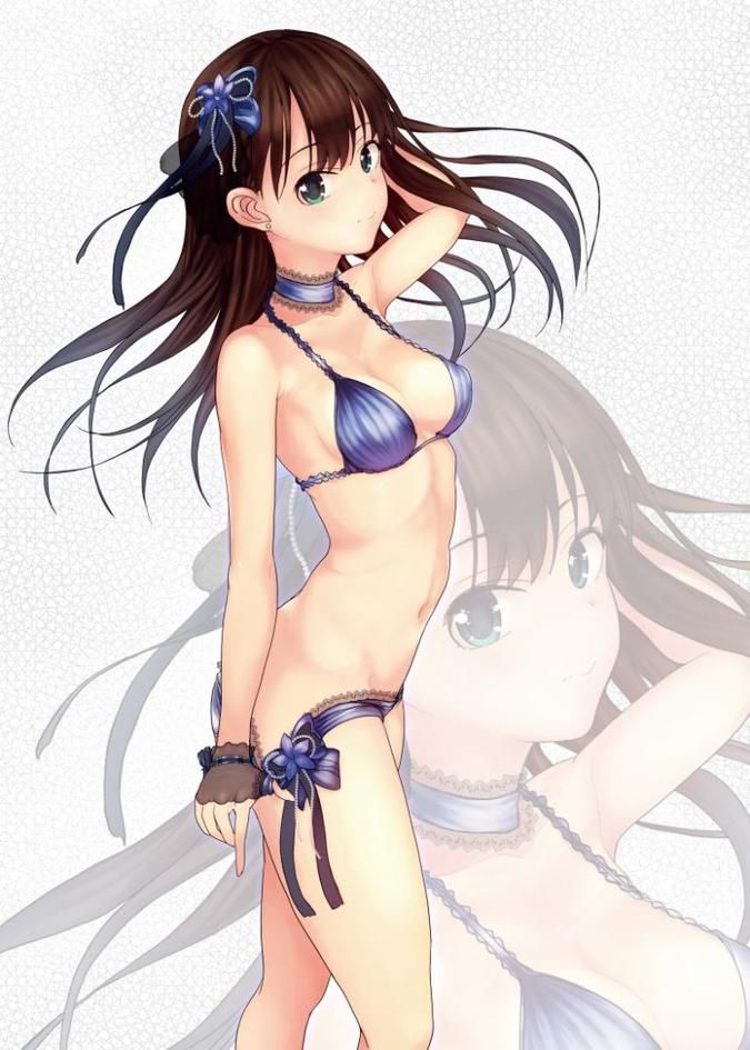 Two-dimensional eroticism image of the idol master 8
