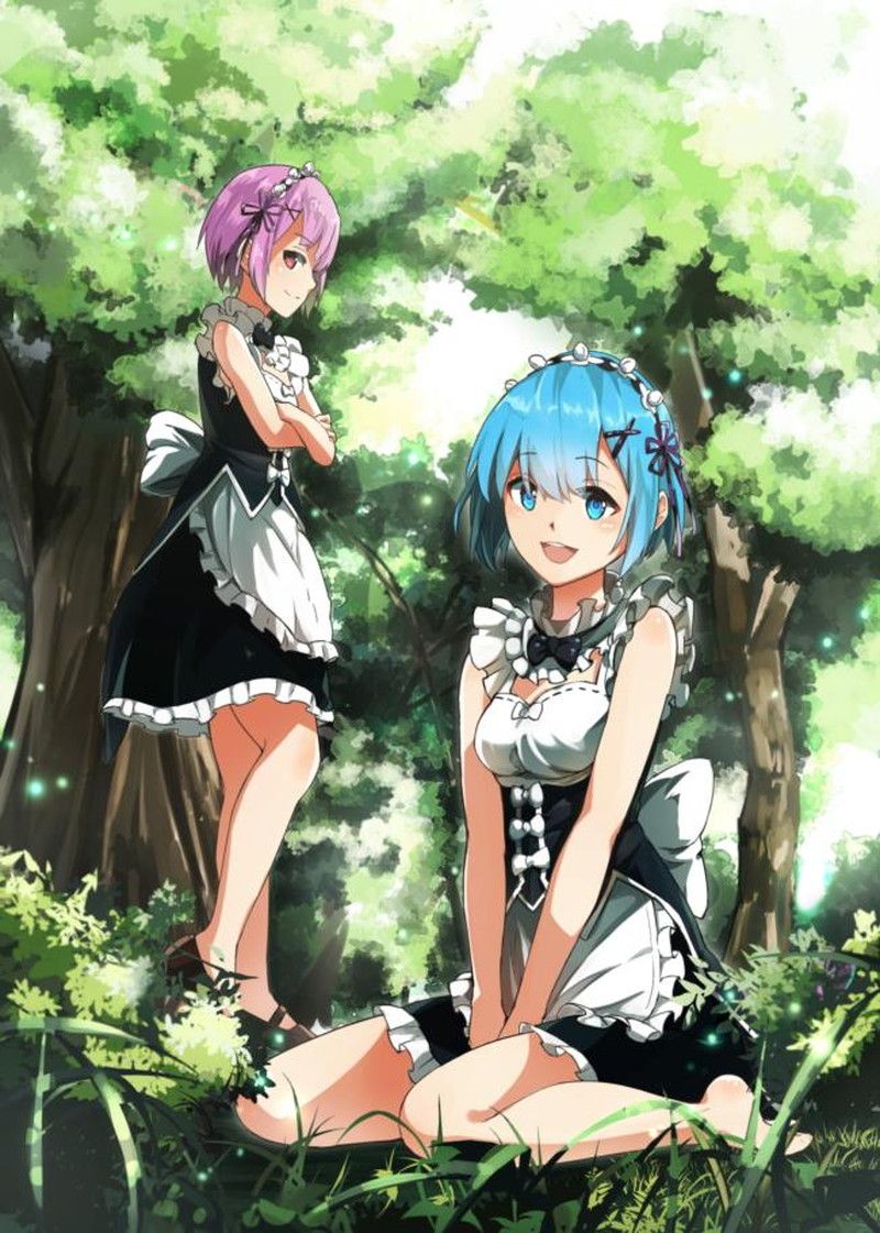 [異世界生活 which Re begins from zero] put the lamb of the twins maid and a too beautiful illustration of the rem 11