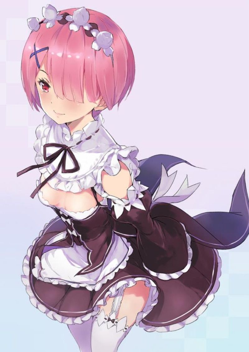 [異世界生活 which Re begins from zero] put the lamb of the twins maid and a too beautiful illustration of the rem 14