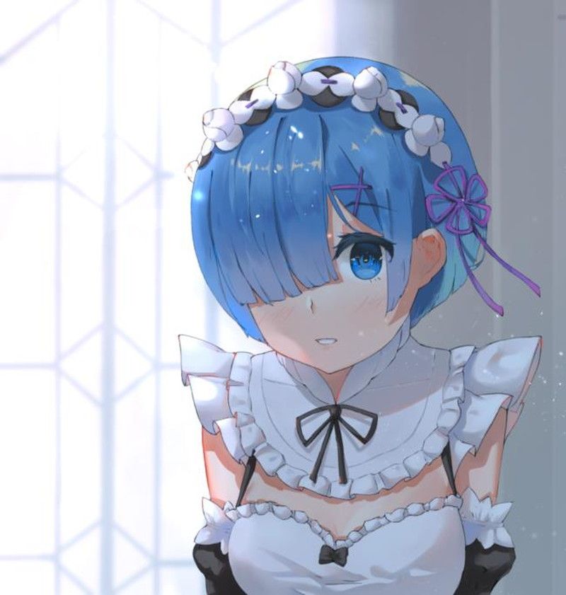 [異世界生活 which Re begins from zero] put the lamb of the twins maid and a too beautiful illustration of the rem 15