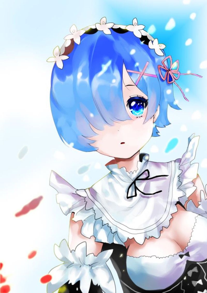 [異世界生活 which Re begins from zero] put the lamb of the twins maid and a too beautiful illustration of the rem 19