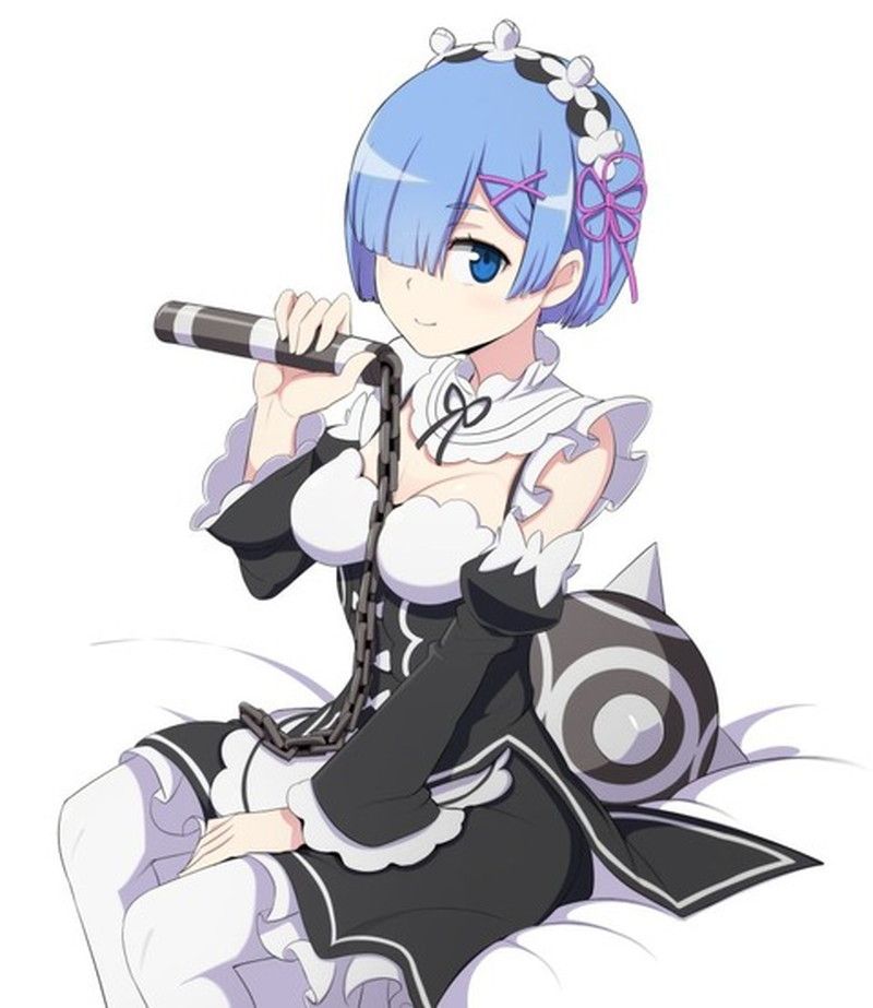 [異世界生活 which Re begins from zero] put the lamb of the twins maid and a too beautiful illustration of the rem 2