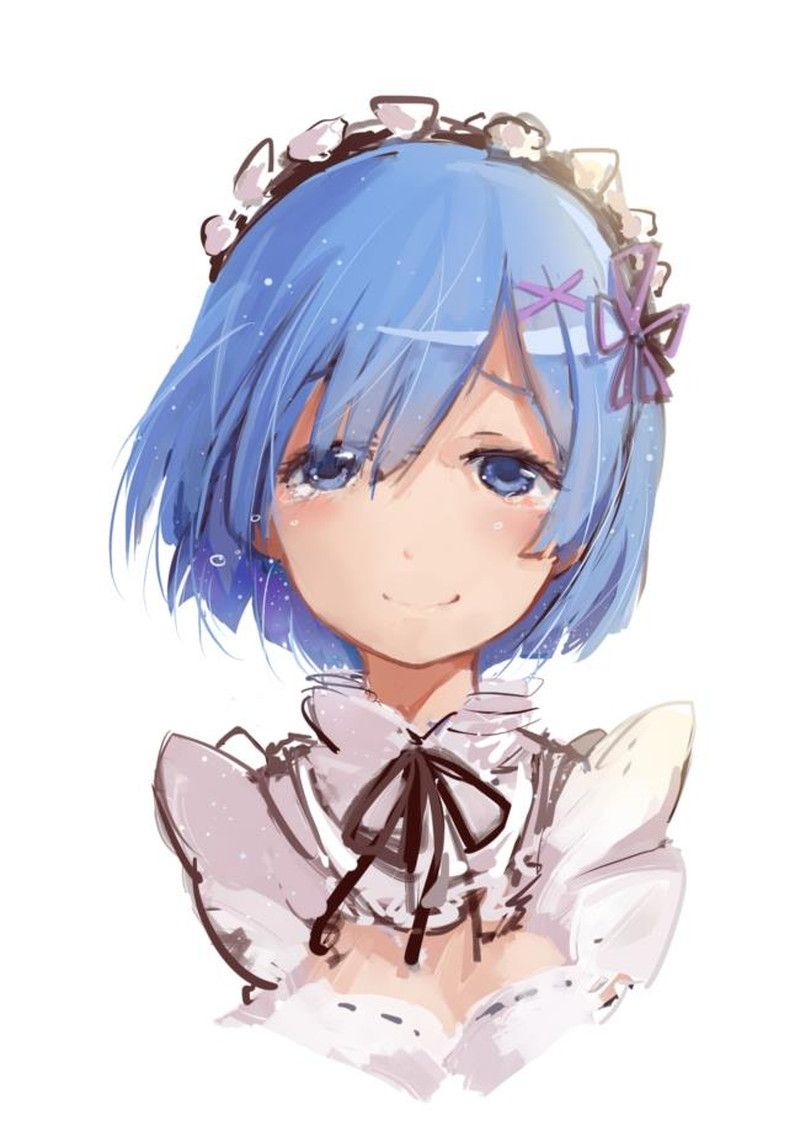 [異世界生活 which Re begins from zero] put the lamb of the twins maid and a too beautiful illustration of the rem 20