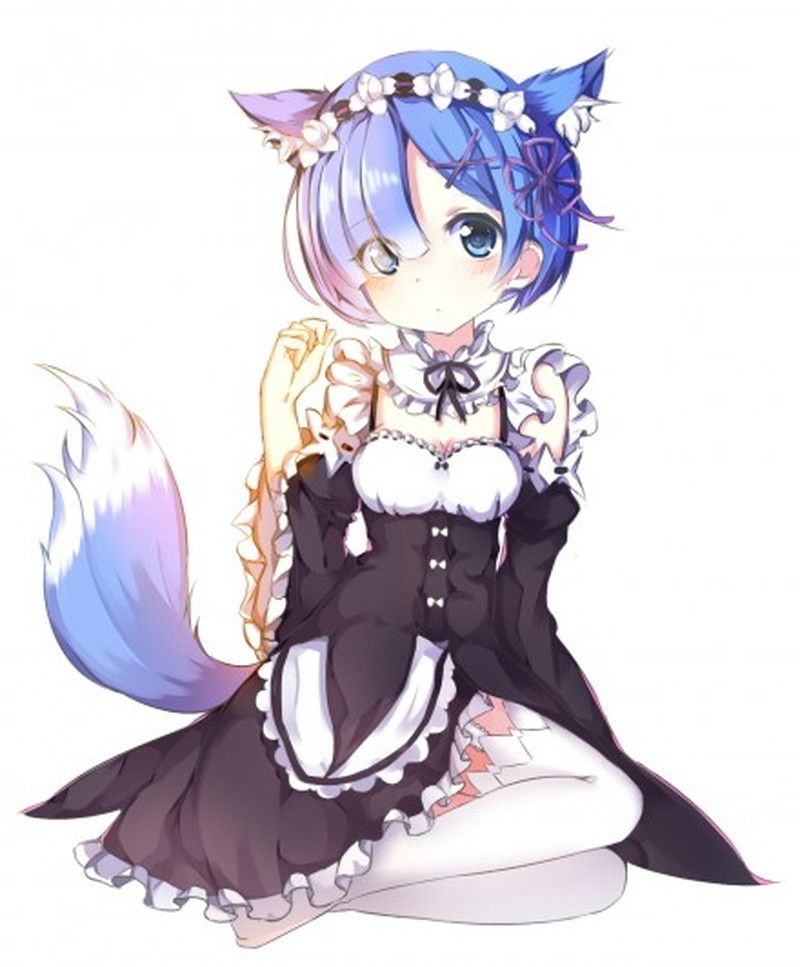 [異世界生活 which Re begins from zero] put the lamb of the twins maid and a too beautiful illustration of the rem 24