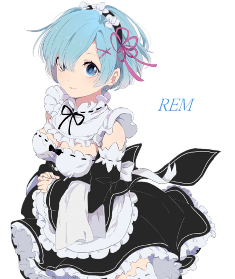 [異世界生活 which Re begins from zero] put the lamb of the twins maid and a too beautiful illustration of the rem 28