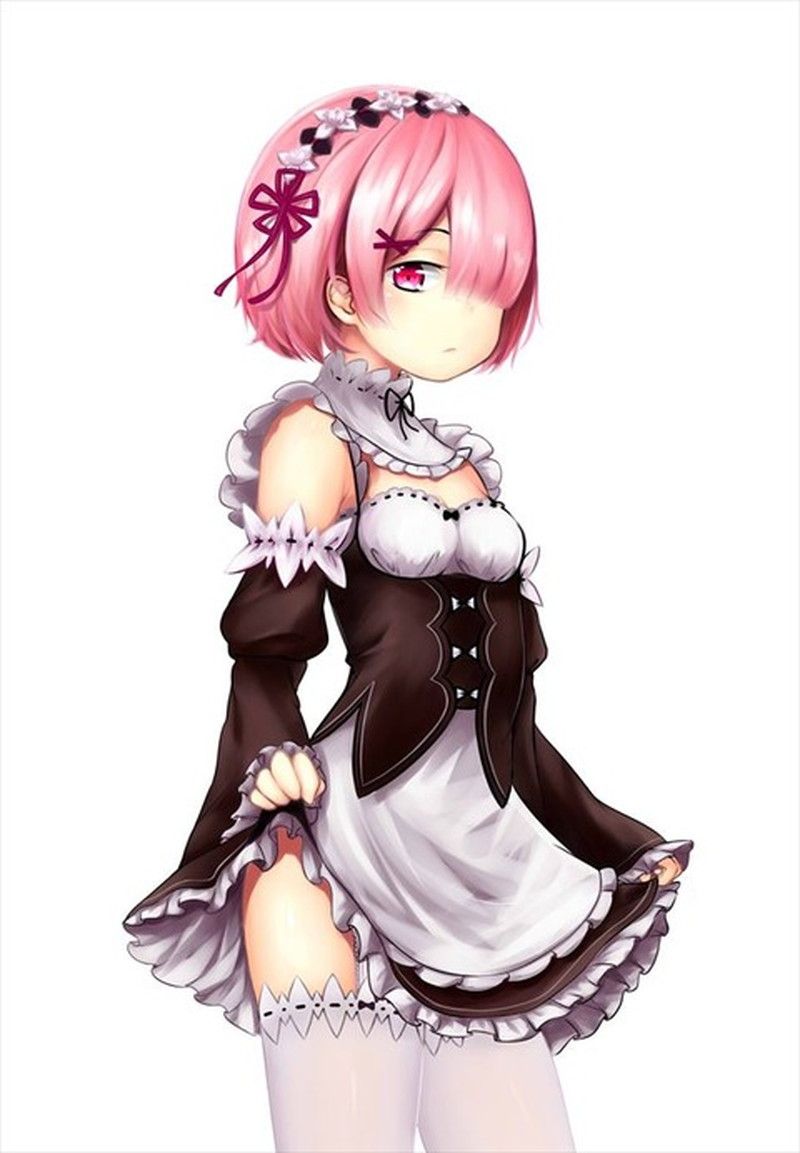 [異世界生活 which Re begins from zero] put the lamb of the twins maid and a too beautiful illustration of the rem 3