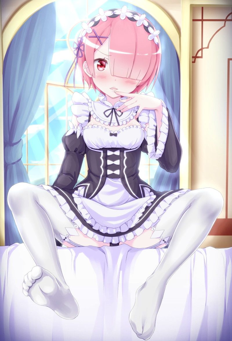 [異世界生活 which Re begins from zero] put the lamb of the twins maid and a too beautiful illustration of the rem 8